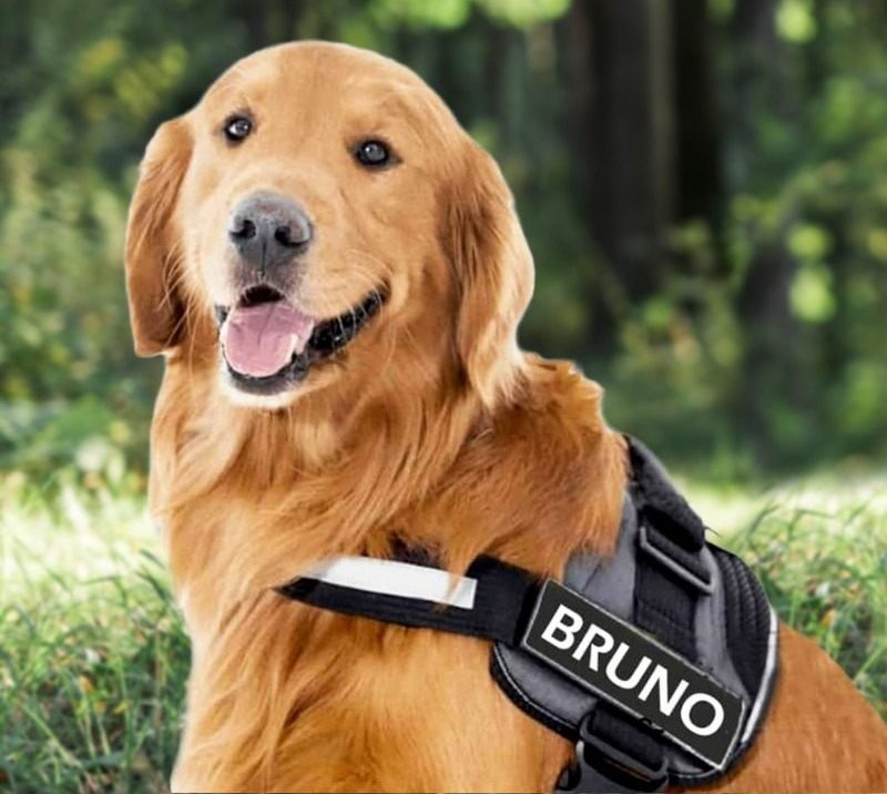 CYNTRIX™ - CUSTOM FIT NO-PULL DOG HARNESS