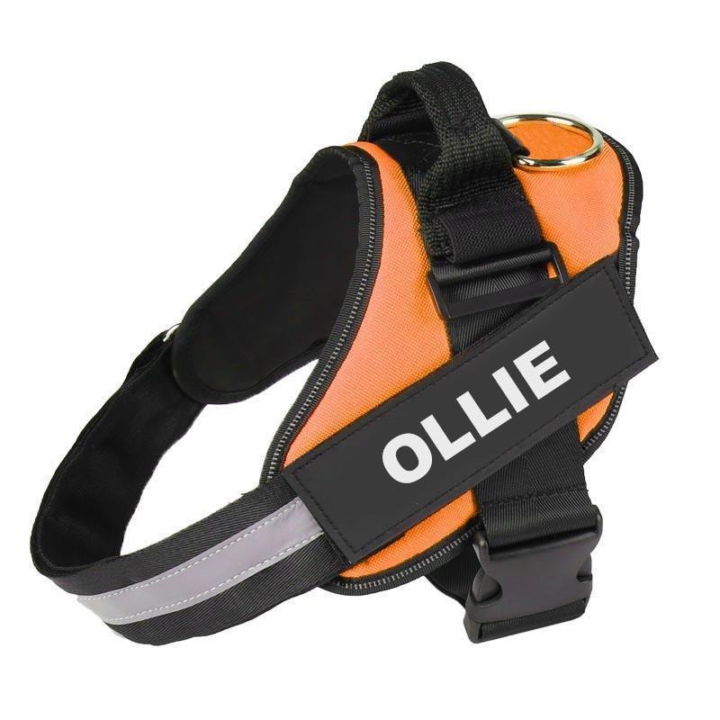 CYNTRIX™ - CUSTOM FIT NO-PULL DOG HARNESS